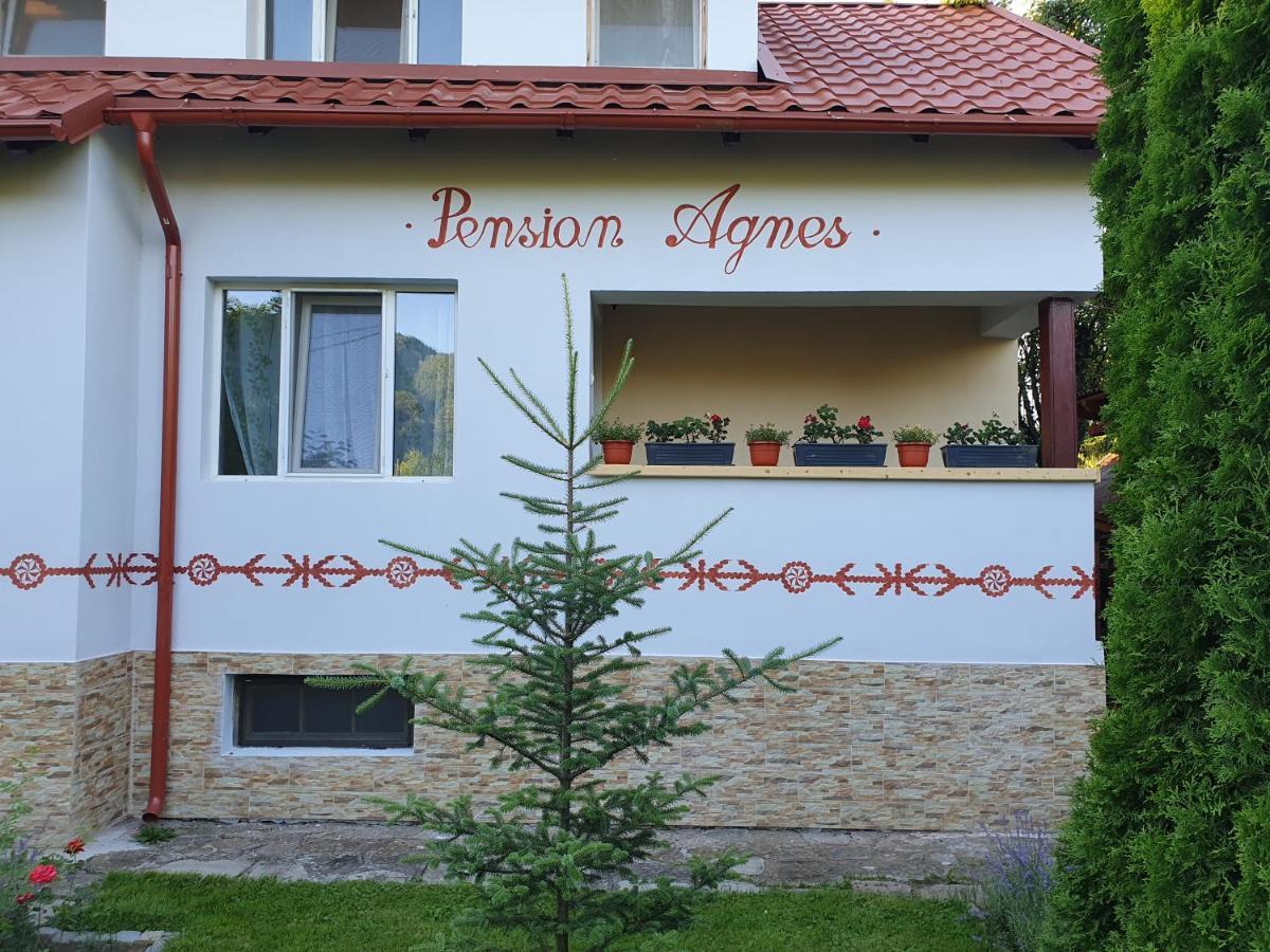 Pension Agnes Vişeu de Sus 외부 사진